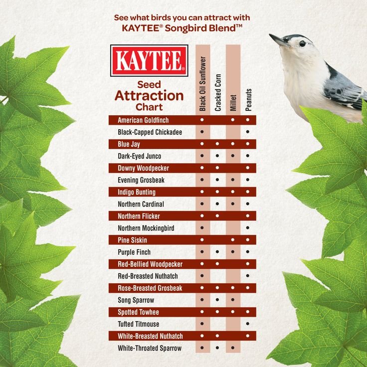bird diet