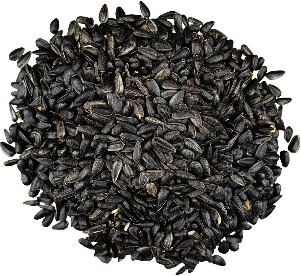 black oil sunflower seeds