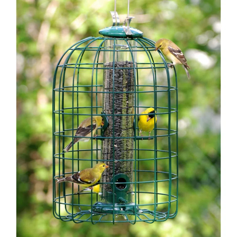cage-style bird feeder