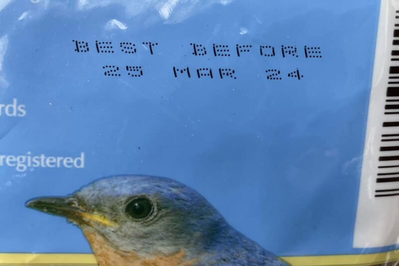 Does Bird Food Expire? Signs, Shelf Life & Storage Tips