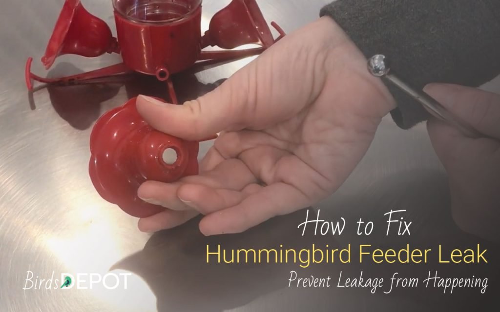 feeder leak points