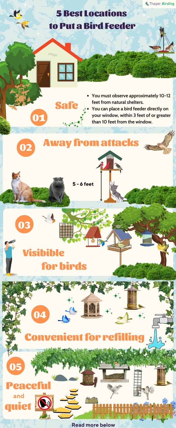 feeder placement