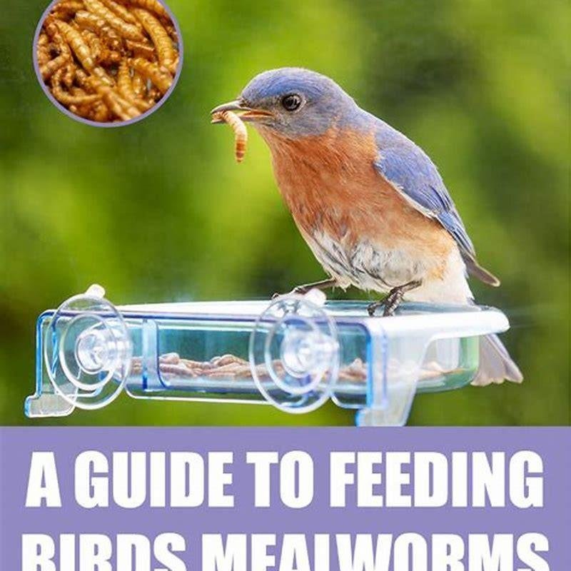 Insectivorous birds