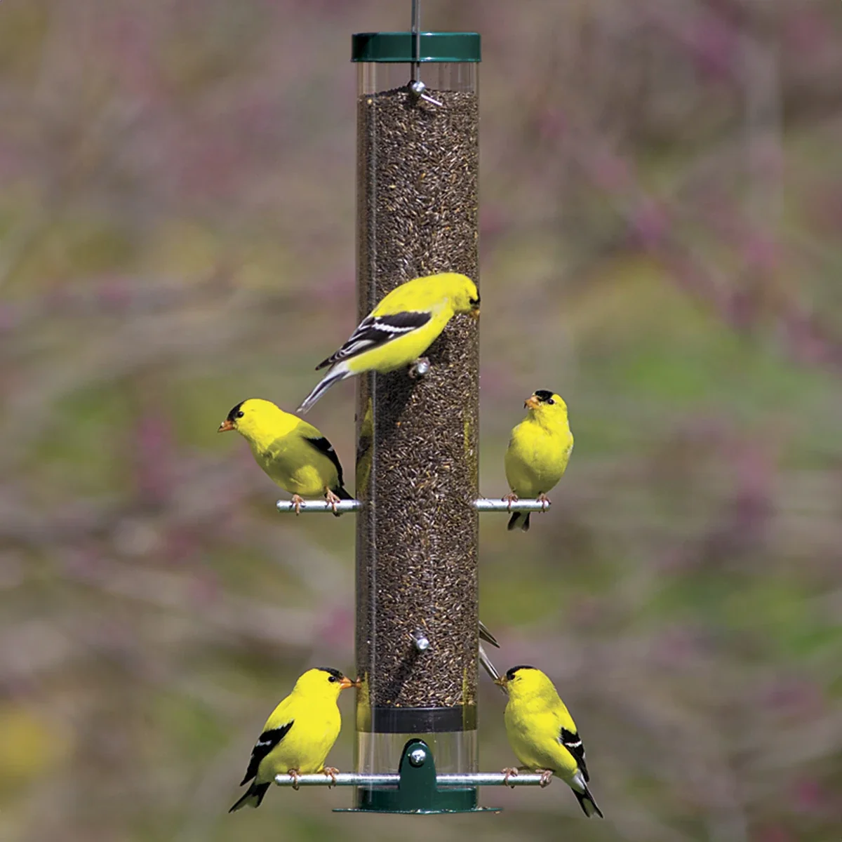 nyjer seed tube feeder