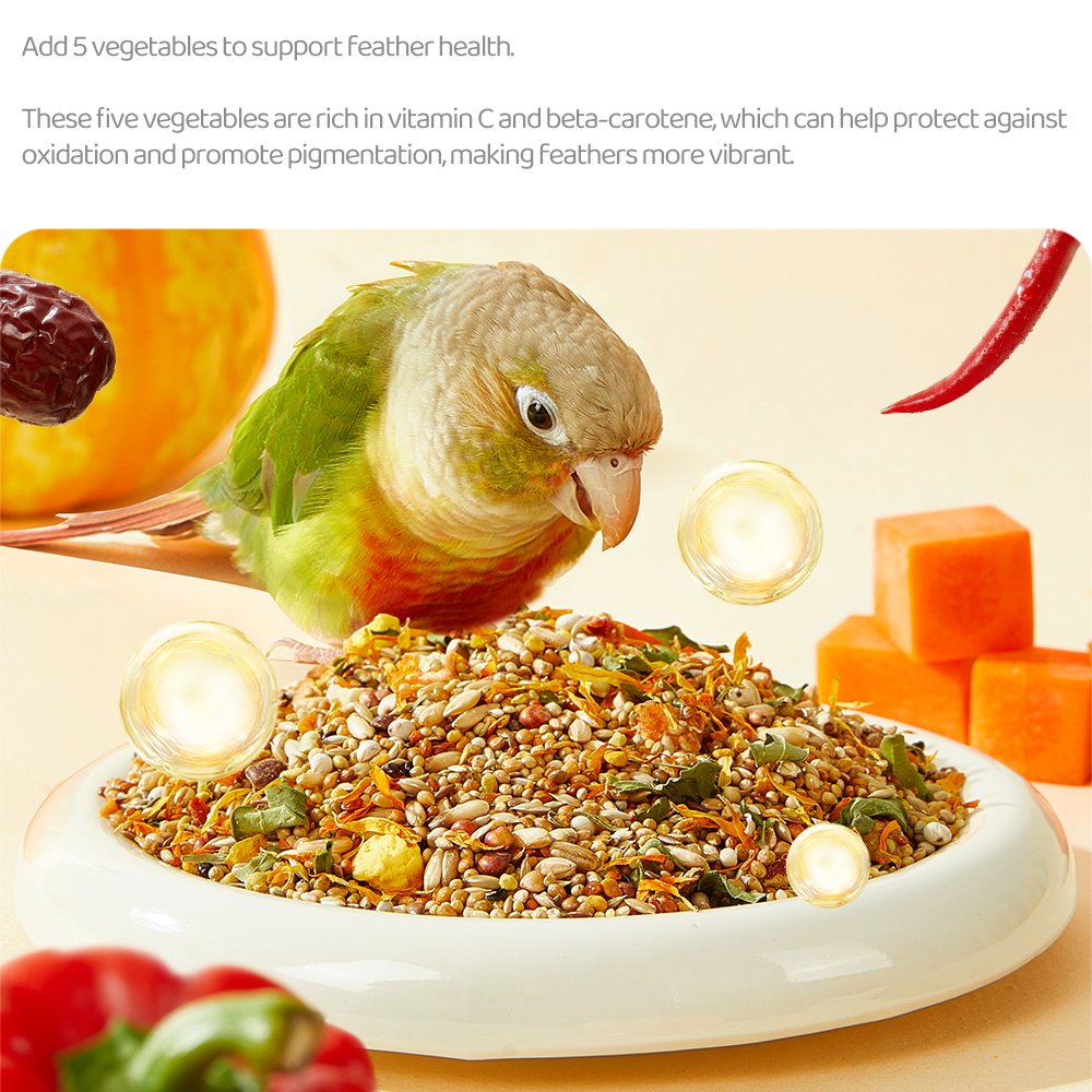 pet birds